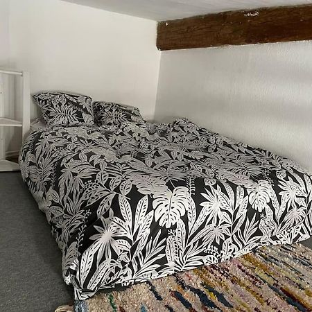 Appartement De Caractere Au Coeur Du Centre-Ville Montpellier Kültér fotó